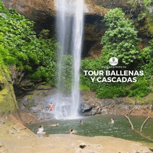 foto cascada la sierpe - avistamiento de ballenas - ecotrips - www.ecotrips.co - colombia - 00014