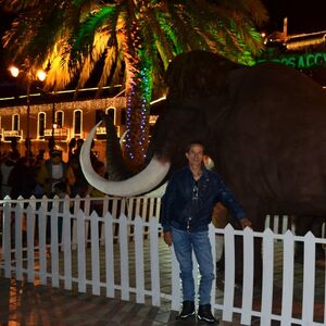 tour de alumbrados y luces navideñas en Boyacá con EcoTrips 005