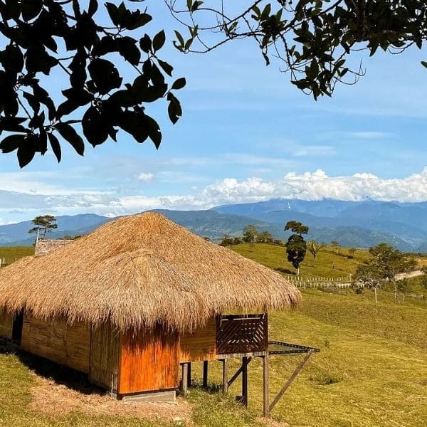 Hotel nativo 2  - Acomodación compartida múltiple