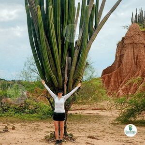 Cactus gigante en el Desierto la Tatacoa - viaje al desierto la tatacoa por ecotrips - plataforma de viajes ecotrips - www.ecotrips.co