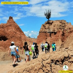 Laberintos del Cuzco Desierto la Tatacoa - viaje al desierto la tatacoa por ecotrips - plataforma de viajes ecotrips - www.ecotrips.co