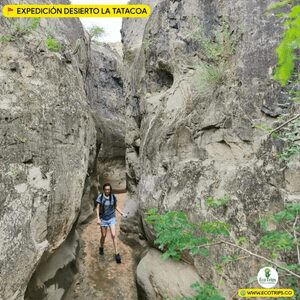Valle de los Xilopalos Desierto la Tatacoa - viaje al desierto la tatacoa por ecotrips - plataforma de viajes ecotrips - www.ecotrips.co