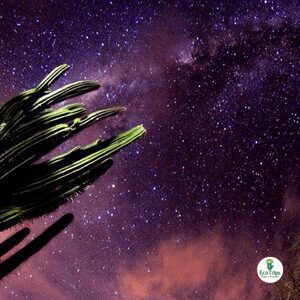 lluvia de estrellas en Desierto la Tatacoa - viaje al desierto la tatacoa por ecotrips - plataforma de viajes ecotrips - www.ecotrips.co