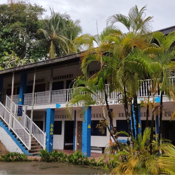 Hotel nativo avistamineto ballenas fondo ecotrips www.ecotrips.co 001