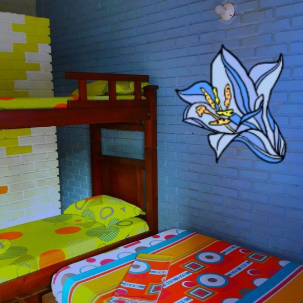 Hotel nativo avistamineto ballenas fondo ecotrips www.ecotrips.co 003