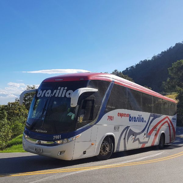 Usaremos éste tipo de buses durante el tour