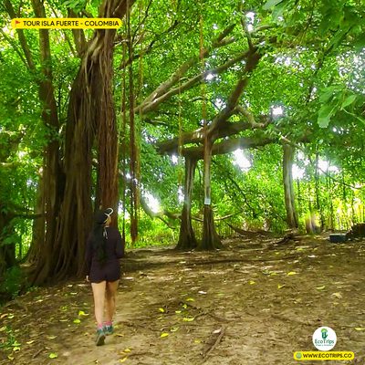 tour isla fuerte playas todo incluido ecotrips www.ecotrips.co 0012