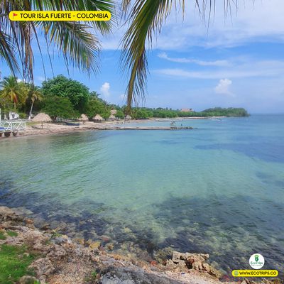 tour isla fuerte playas todo incluido ecotrips www.ecotrips.co 005