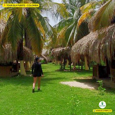 tour isla fuerte playas todo incluido ecotrips www.ecotrips.co 007