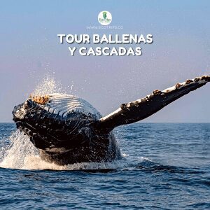 foto cascada la sierpe - avistamiento de ballenas - ecotrips - www.ecotrips.co - colombia - 0005