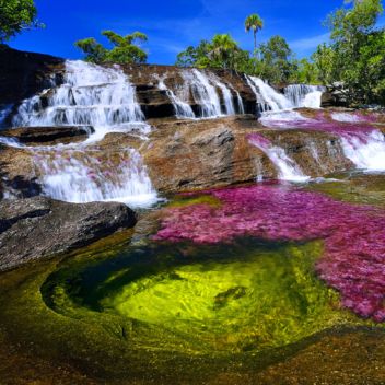 Tour-Cano-cristales-desde-Bogota-todo-incluido-001-EcoTrips-www.ecotrips.co