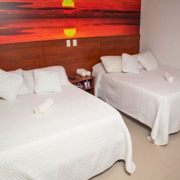 Tour-avistamiento-de-ballenas-plan-todo-incluido-ecotrips-www.ecotrips-hotel-premium-005