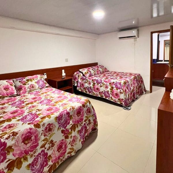 Tour-avistamiento-de-ballenas-plan-todo-incluido-ecotrips-www.ecotrips-hotel-premium-008