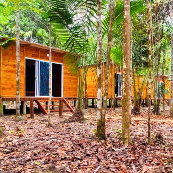 Glamping-Tour-Ballenas-Playas-y-Cascadas-por-EcoTrips-www.ecotrips.co-004