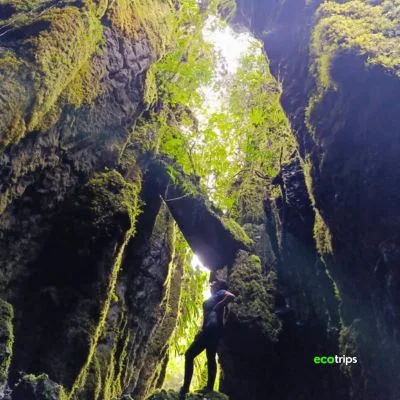 our-bosques-y-cavernas-de-pandora-y-con-Ecotrips-www.ecotrips.co-001