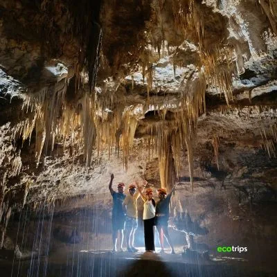 our-bosques-y-cavernas-de-pandora-y-con-Ecotrips-www.ecotrips.co-0011