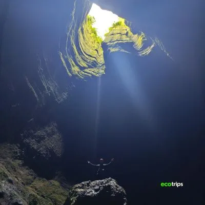 our-bosques-y-cavernas-de-pandora-y-con-Ecotrips-www.ecotrips.co-008