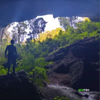 our-bosques-y-cavernas-de-pandora-y-con-Ecotrips-www.ecotrips.co-0012