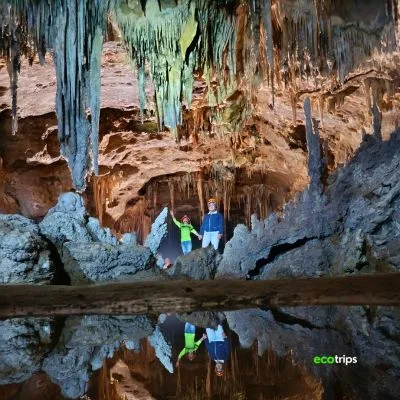 our-bosques-y-cavernas-de-pandora-y-con-Ecotrips-www.ecotrips.co-0013