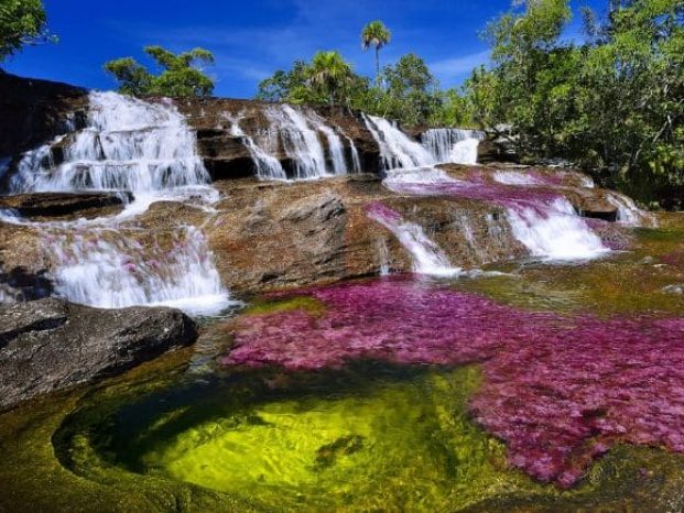 Caño Cristales VIDEO Landing 001 tour caño cristales plan todo incluido